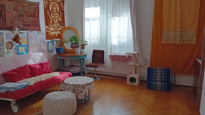 2 room apartment in Basel, furnished, temporary