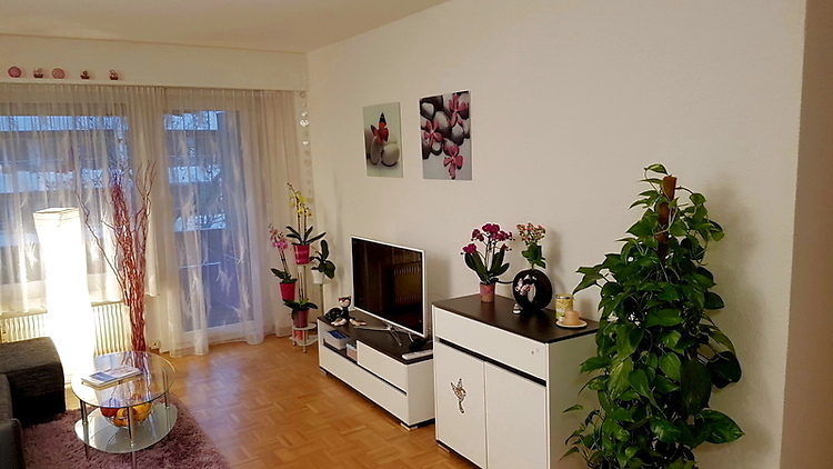 Picture 2