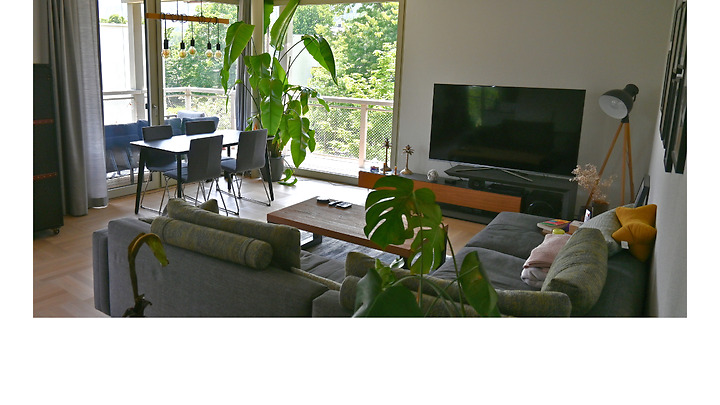 4½ room apartment in Thalwil (ZH), furnished, temporary
