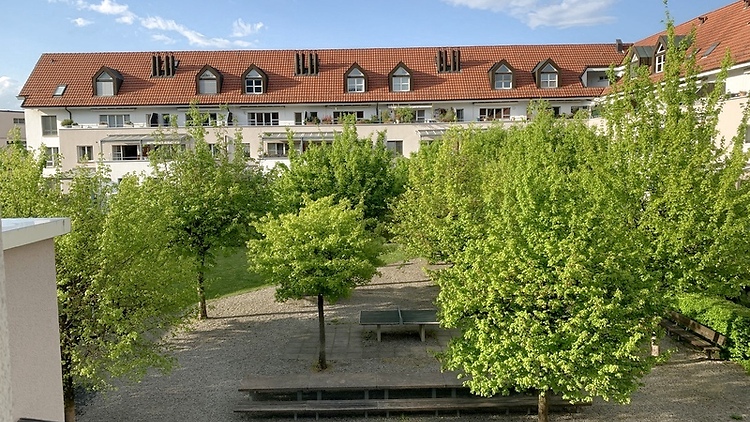 Picture 7