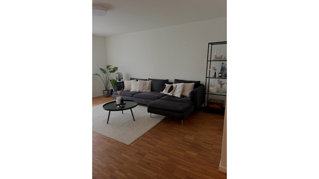 2½ room apartment in Wetzikon (ZH), furnished, temporary