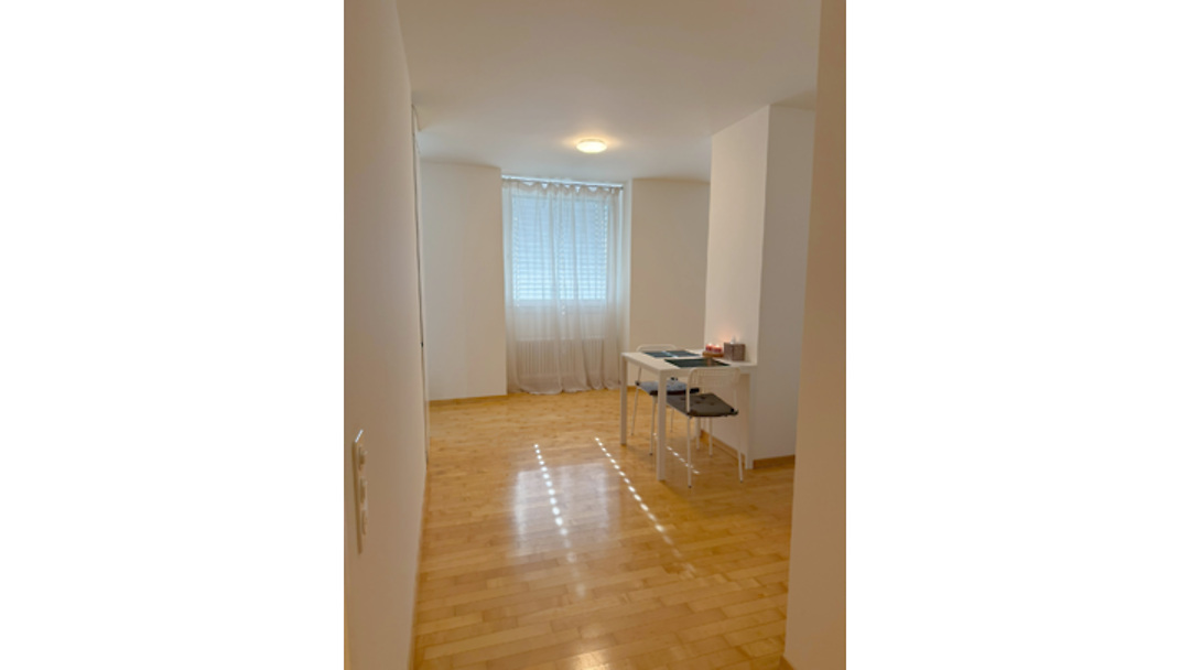 2½ room apartment in Zürich - Kreis 6, furnished, temporary